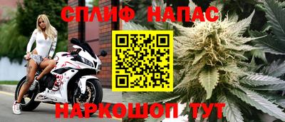 твердый Ставрополь