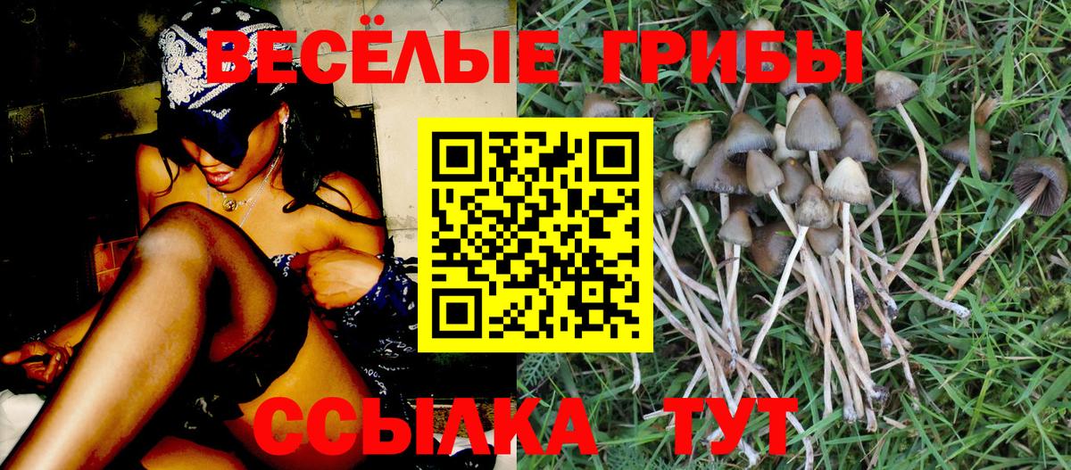 Галлюциногенные грибы ЛСД Оренбург
