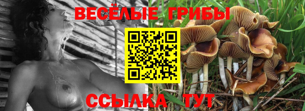 где купить наркотик  Галлюциногенные грибы прущие грибы  Вход с VPN  Оренбург 